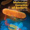 Snyder and Champness Molecular Genetics of Bacteria - 5th Edition