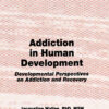Addiction in Human Development - 1st Edition