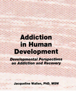 Addiction in Human Development - 1st Edition
