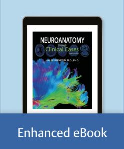 Neuroanatomy through Clinical Cases - 3rd Edition