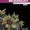 Microbiology: Laboratory Theory and Application, Brief - 3rd Edition