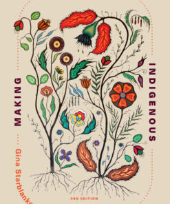 Making Space for Indigenous Feminism, 3rd edition - 3rd Edition