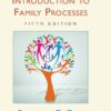 Introduction to Family Processes - 5th Edition