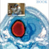 The NeuroICU Book, Second Edition - 2nd Edition
