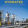 Natural Gas Hydrates - 4th Edition