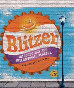 Introductory & Intermediate Algebra for College Students - 5th Edition