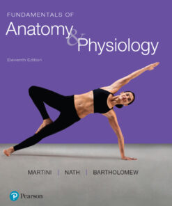 Fundamentals of Anatomy & Physiology - 11th Edition