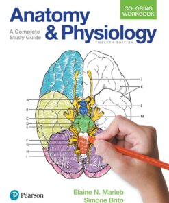 Anatomy and Physiology Coloring Workbook - 12th Edition