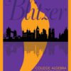 College Algebra: An Early Functions Approach - 4th Edition