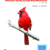 Foundations of Microeconomics (Pearson+) - 8th Edition