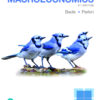 Foundations of Macroeconomics (Pearson+) - 8th Edition