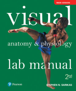 Visual Anatomy & Physiology Lab Manual, Main Version - 2nd Edition