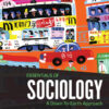 Essentials of Sociology: A Down-To-Earth Approach - 13th Edition