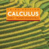 Calculus: Early Transcendentals - 3rd Edition