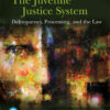 The Juvenile Justice System: Delinquency, Processing, and the Law - 9th Edition