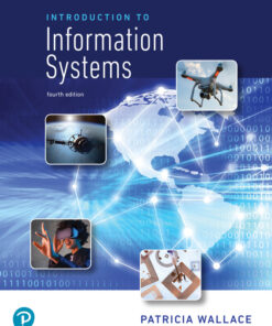 Introduction to Information Systems - 4th Edition