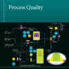 Process Quality - 2nd Edition