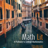 Math Lit: A Pathway to College Mathematics - 3rd Edition