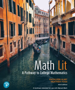 Math Lit: A Pathway to College Mathematics - 3rd Edition