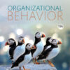 Organizational Behavior - 19th Edition