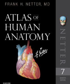 Atlas of Human Anatomy - 7th Edition