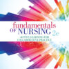 Fundamentals of Nursing: Active Learning for Collaborative Practice - 2nd Edition