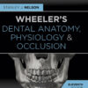 Wheeler's Dental Anatomy, Physiology and Occlusion - 11th Edition