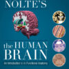 Nolte’s The Human Brain - 8th Edition