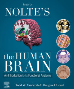 Nolte’s The Human Brain - 8th Edition