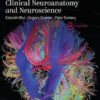 Fitzgerald's Clinical Neuroanatomy and Neuroscience - 8th Edition