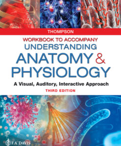 Workbook to Accompany Understanding Anatomy & Physiology - 3rd Edition