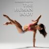 Introduction to the Human Body - 10th Edition