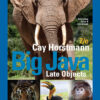 Big Java Late Objects - 2nd Edition