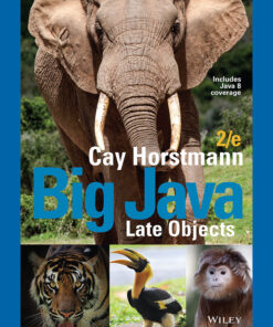 Big Java Late Objects - 2nd Edition