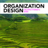 Organization Design - 3rd Edition
