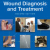 Text and Atlas of Wound Diagnosis and Treatment - 2nd Edition