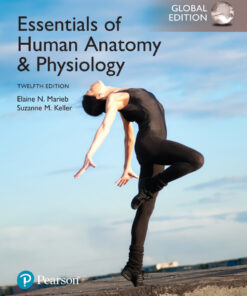 Essentials of Human Anatomy and Physiology, Global Edition - 12th Edition