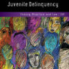 Juvenile Delinquency: Theory, Practice, and Law - 13th Edition