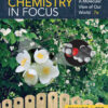 Chemistry in Focus: A Molecular View of Our World - 7th Edition