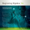 Beginning Algebra: Connecting Concepts through Applications - 2nd Edition