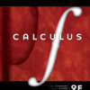 Calculus - 9th Edition