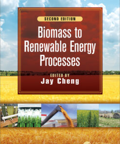 Biomass to Renewable Energy Processes - 2nd Edition