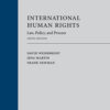 International Human Rights: Law, Policy, and Process - 5th Edition