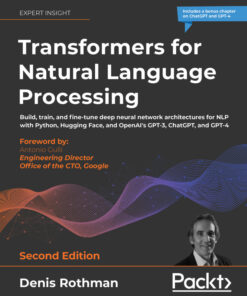 Transformers for Natural Language Processing - 2nd Edition