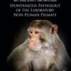 Spontaneous Pathology of the Laboratory Non-human Primate - 1st Edition