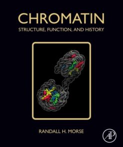 Chromatin - 1st Edition