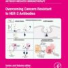 Overcoming Cancers Resistant to HER-2 Antibodies - 1st Edition