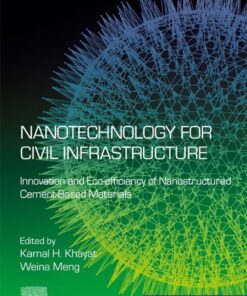 Nanotechnology for Civil Infrastructure - 1st Edition