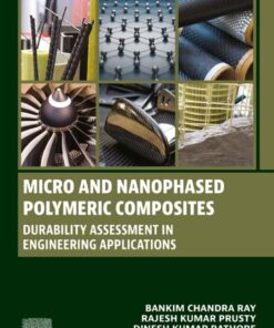Micro and Nanophased Polymeric Composites - 1st Edition