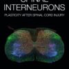 Spinal Interneurons - 1st Edition
